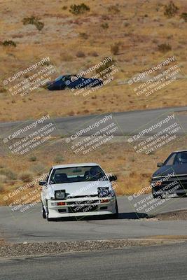 media/Feb-22-2025-Team Topak Racing (Sat) [[cb57a51a40]]/86 Party Brigade/Turns 13 and 14/